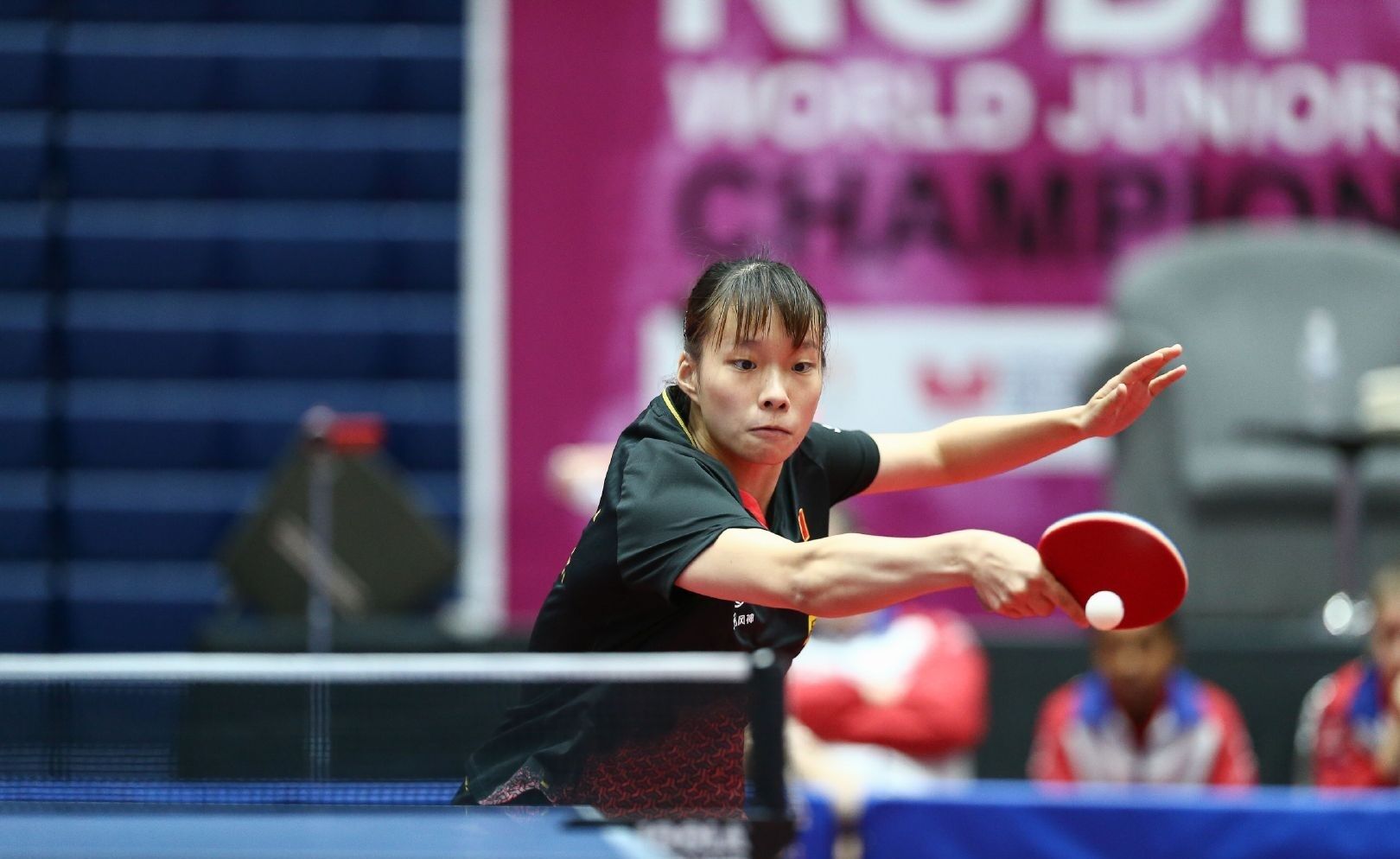 系列丰厚的 系列丰厚的